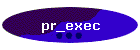 pr_exec